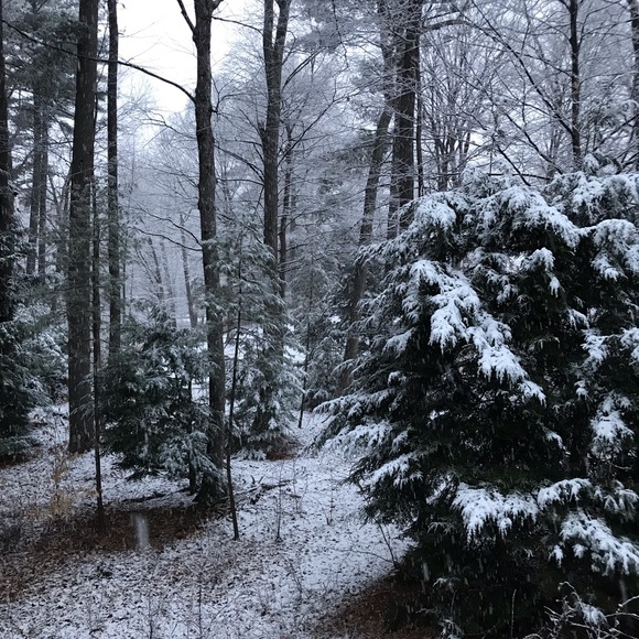 Meet your Posher, Bethany! Posh Ambassador!! - Picture 3 of 3